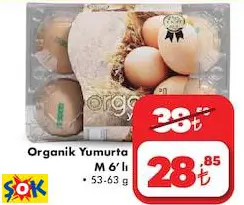 ORGANİK YUMURTA M 6’LI